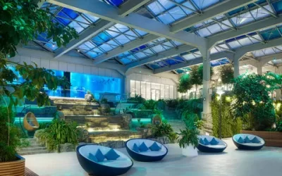 منتجع بارجراف – Paragraph Resort & Spa Shekvetili