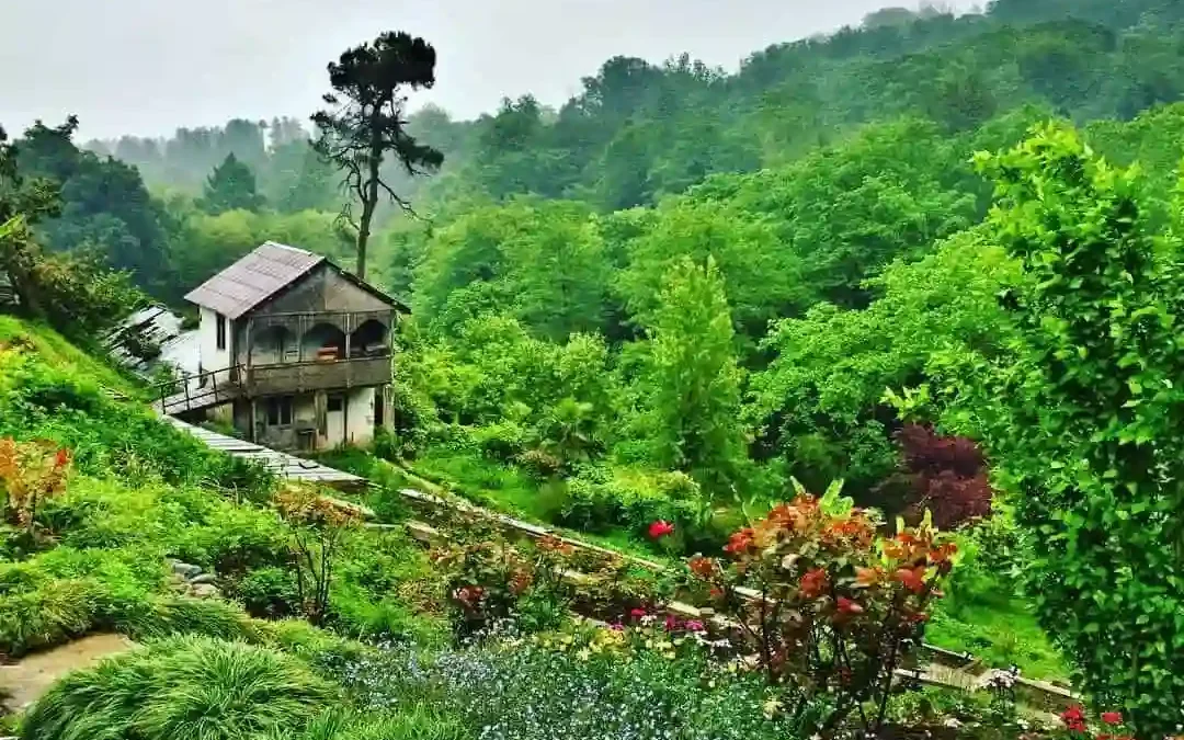 باتومي جورجيا : 5 أنشطة عليك تجربتهم