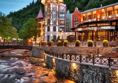 فندق كرون بلازا بورجومي - Crowne Plaza Borjomi